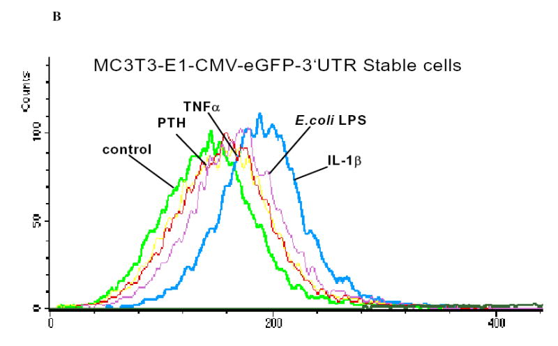 Figure 6B