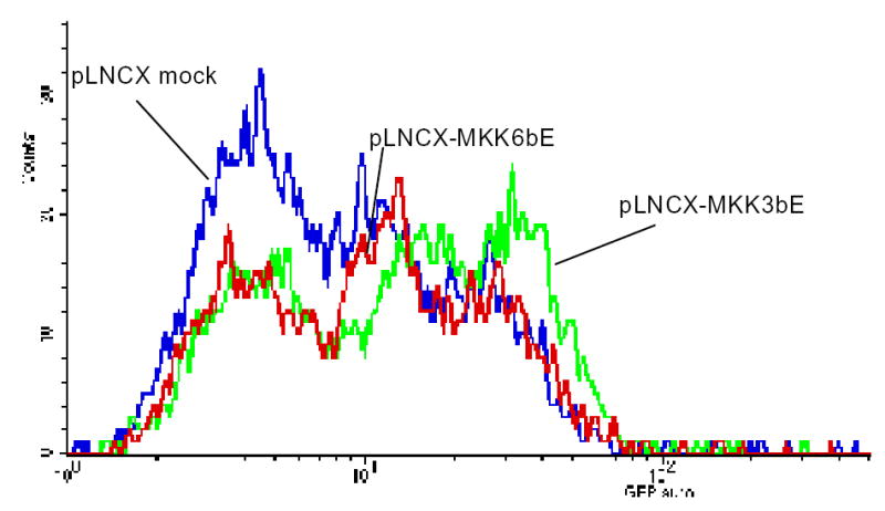 Figure 6E