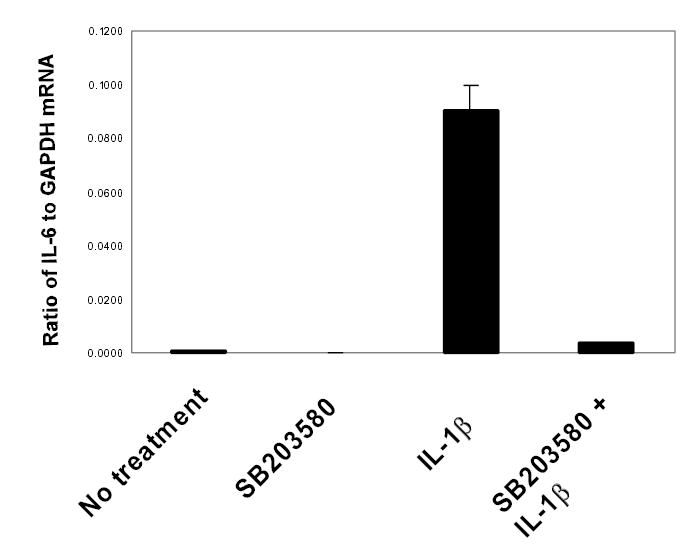 Figure 3A