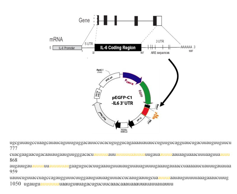 Figure 6A