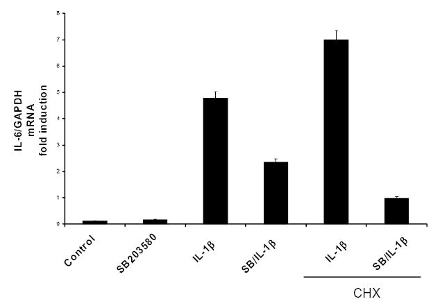 Figure 3B