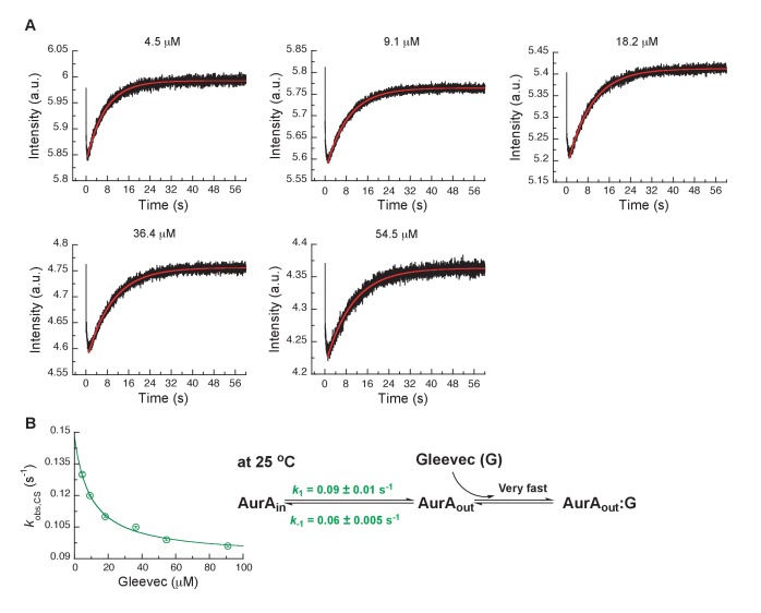 Figure 5—figure supplement 2.