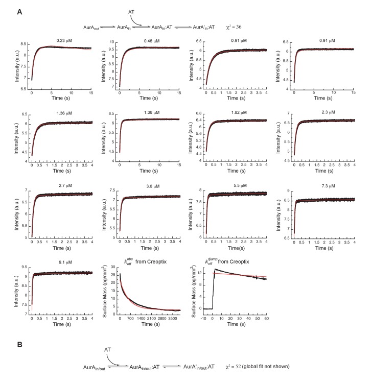 Figure 8—figure supplement 1.