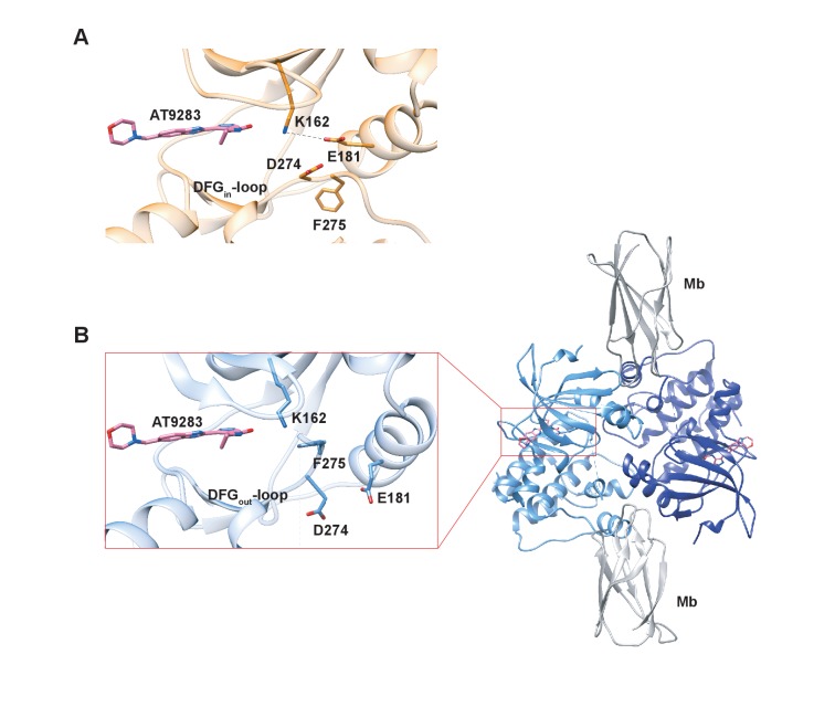 Figure 9.