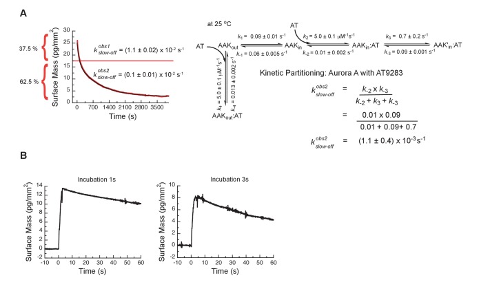 Figure 7—figure supplement 1.