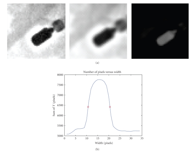 Figure 11