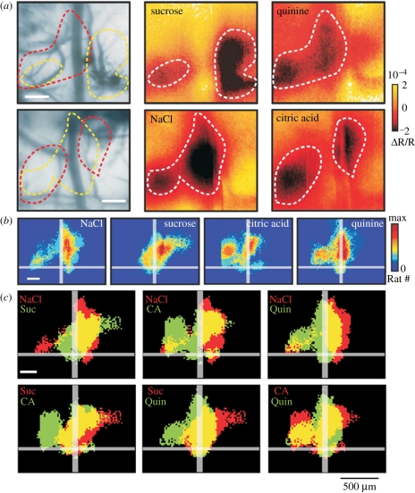 Figure 3.