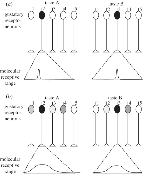 Figure 1.