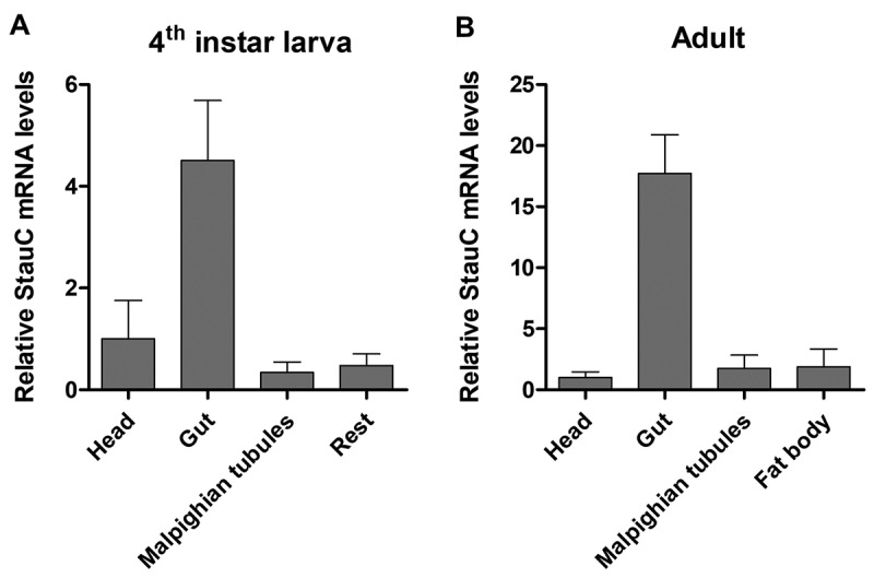 Figure 6.