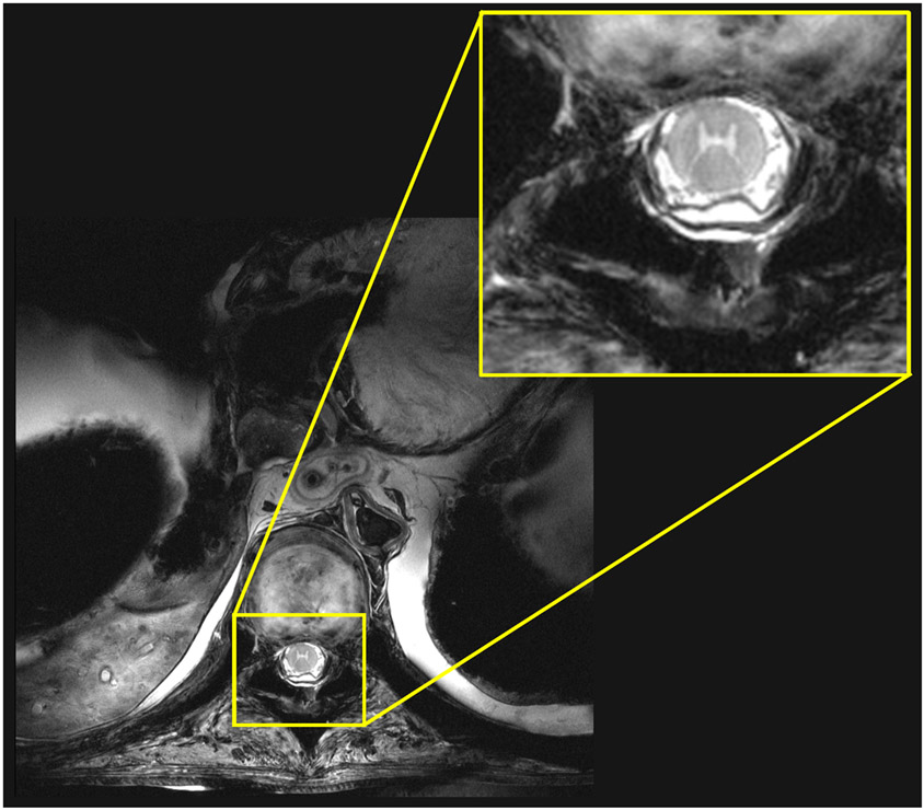 Figure 10.