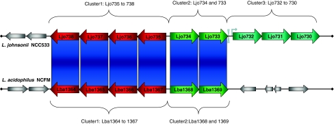 Fig. 2