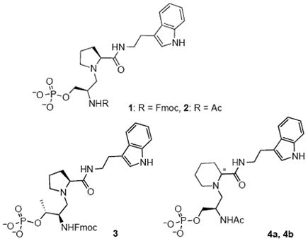 graphic file with name nihms332181u1.jpg