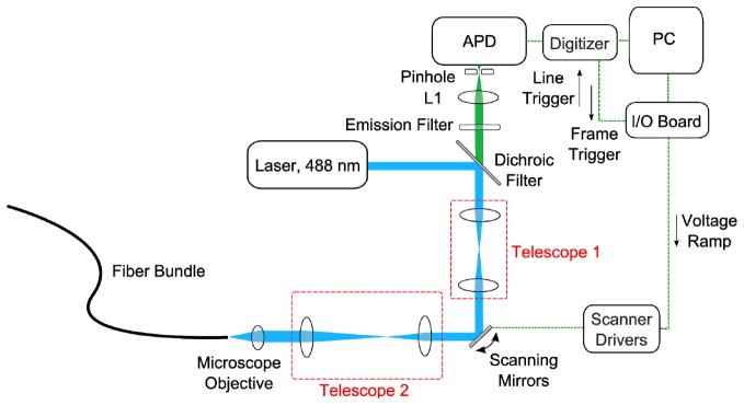 Fig. 6