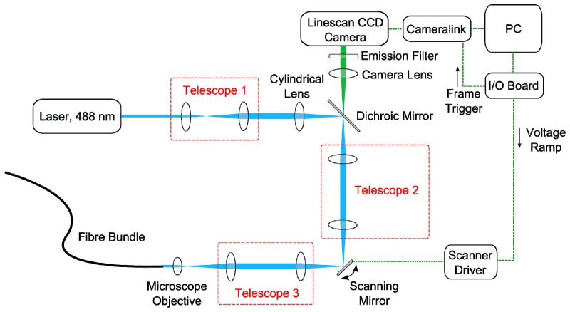 Fig. 1