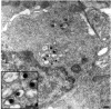 FIG. 8.