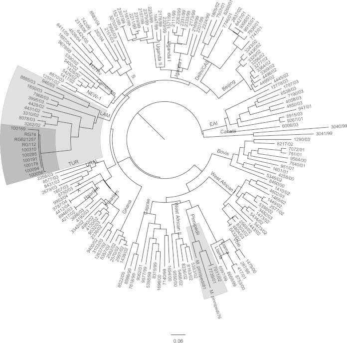 FIG 2