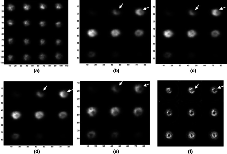 Fig. 11