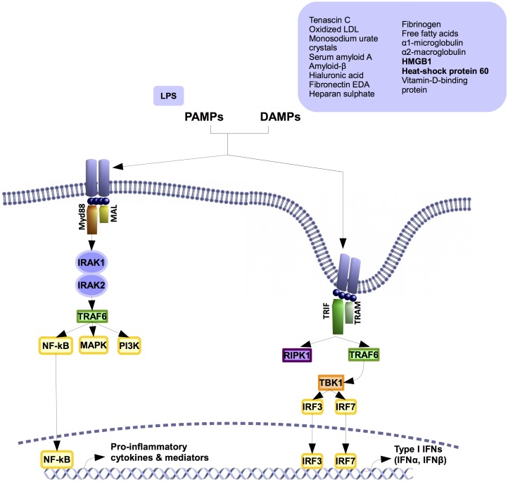 FIGURE 2