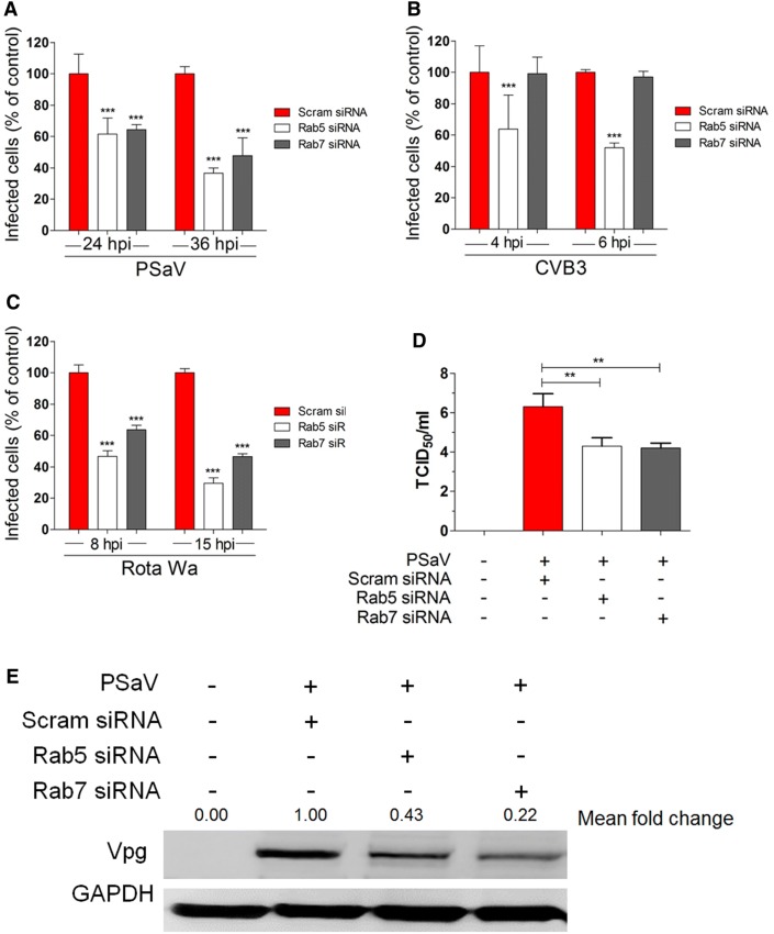 Figure 6