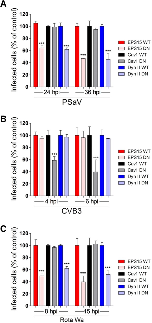 Figure 3