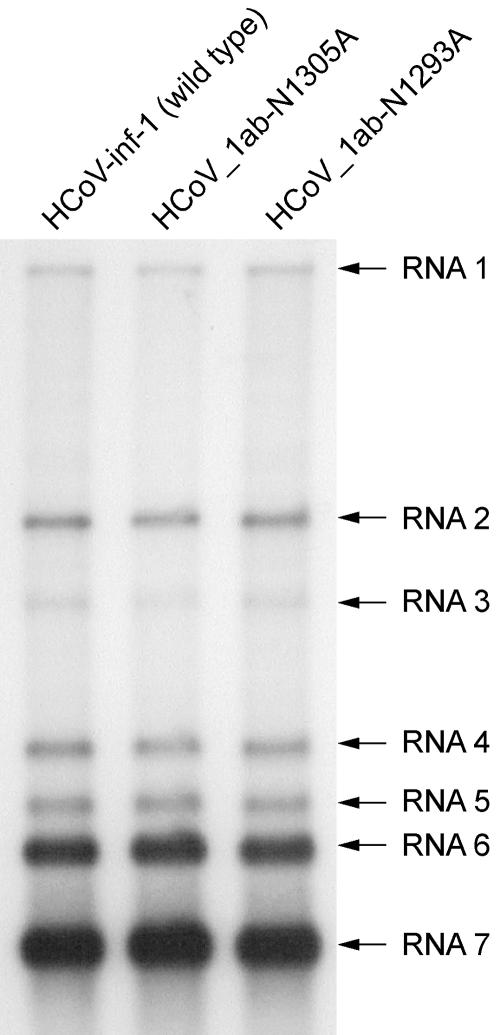 FIG. 5.