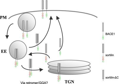 FIGURE 10.