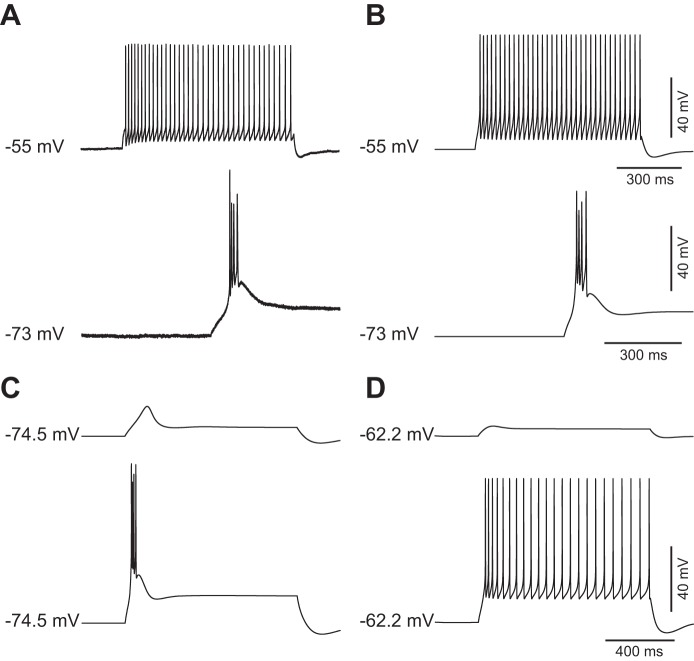 Fig. 6.