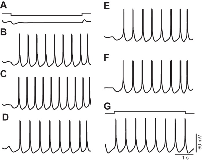 Fig. 7.