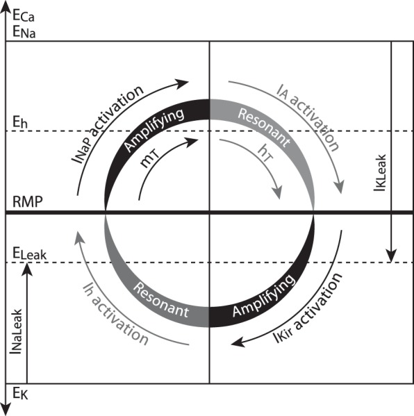 Fig. 11.