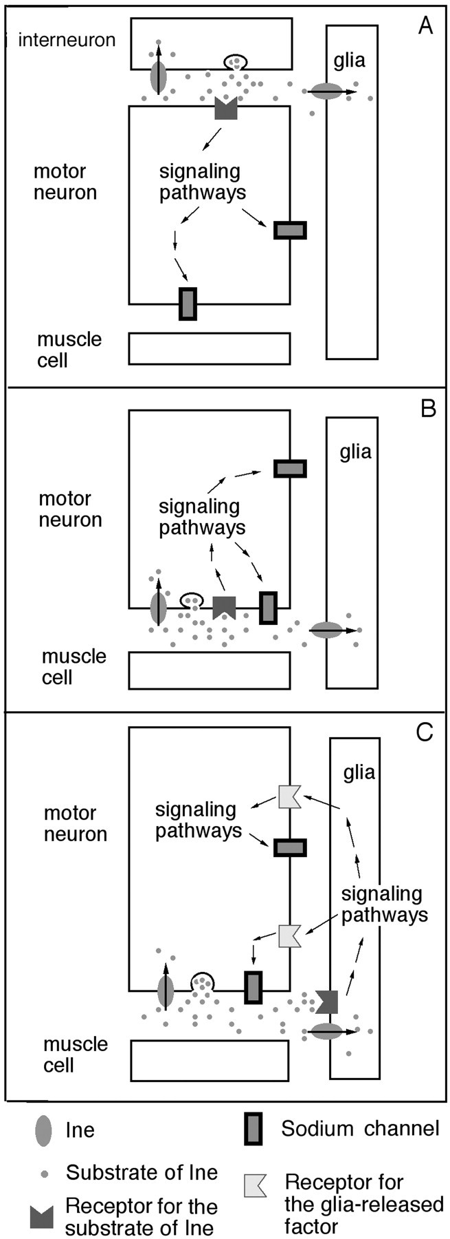 Fig. 9.