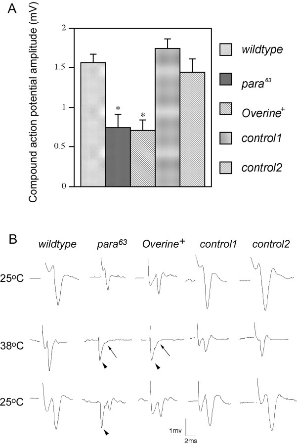 Fig. 8.