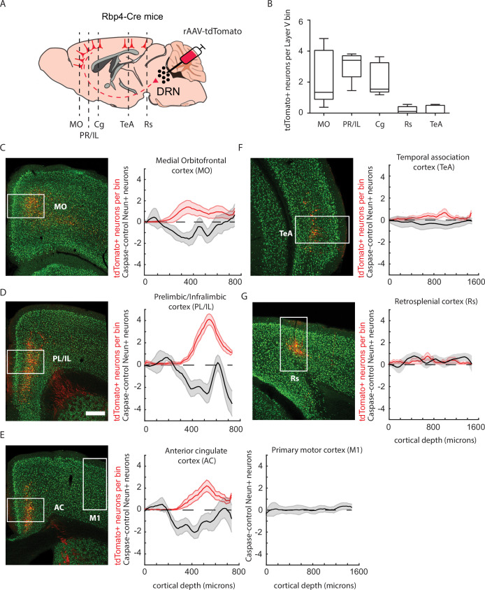 Figure 3—figure supplement 2.