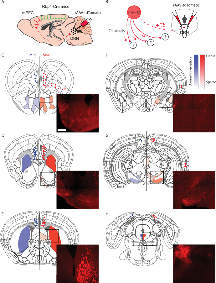 Figure 3—figure supplement 3.