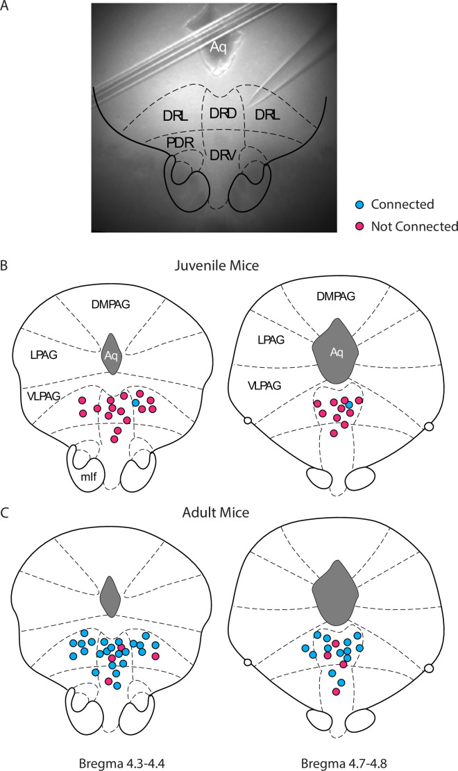 Figure 1—figure supplement 1.