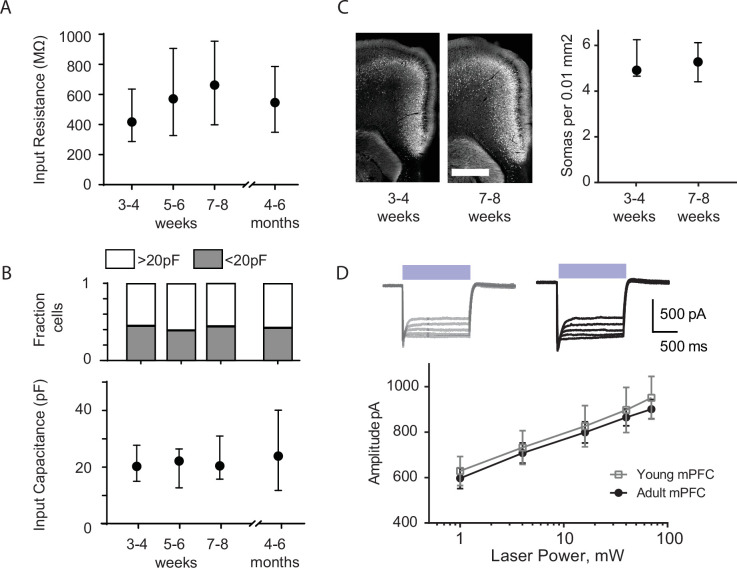 Figure 1—figure supplement 2.