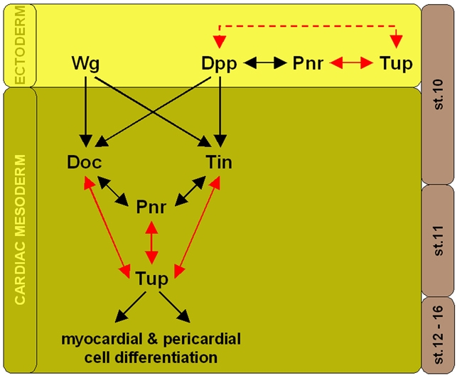 Fig. 8.