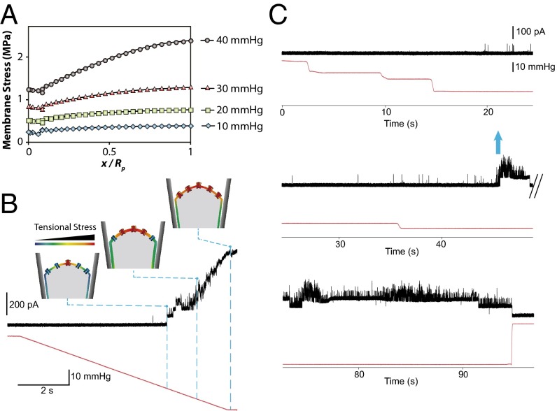 Fig. 4.