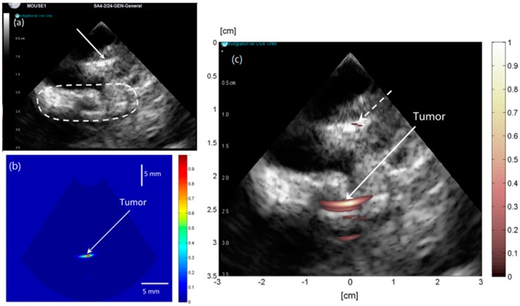 Figure 15