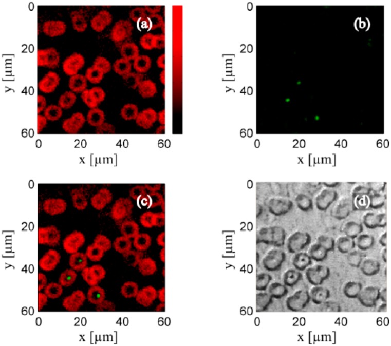 Figure 17