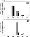 Fig. 10