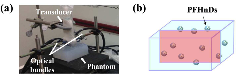 Fig. 3.