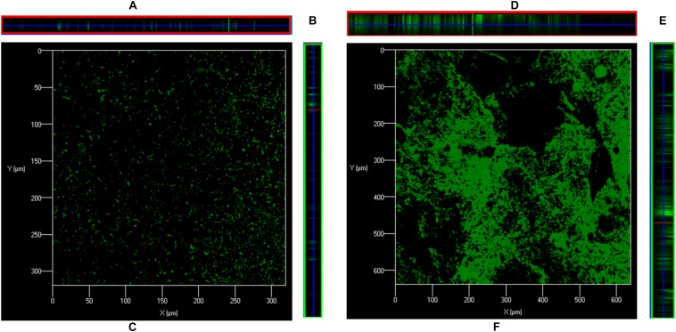 FIGURE 3