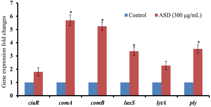 FIGURE 4