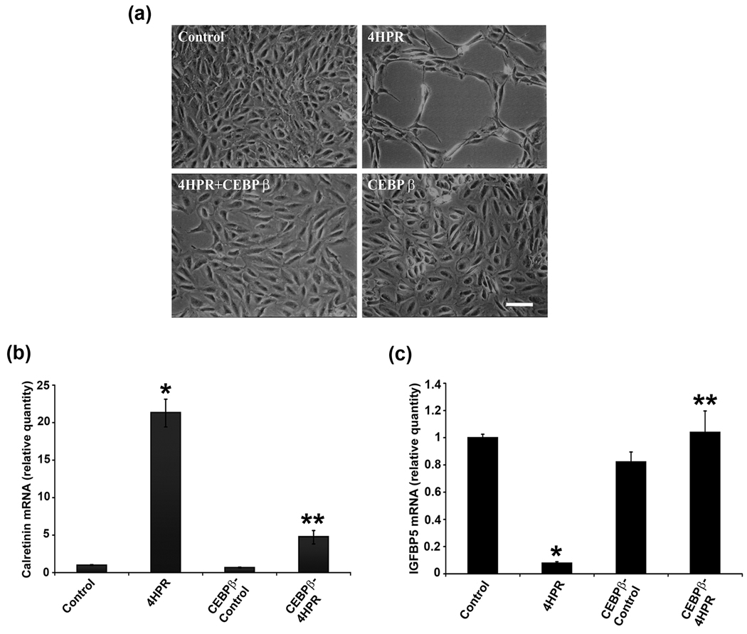 Fig.4