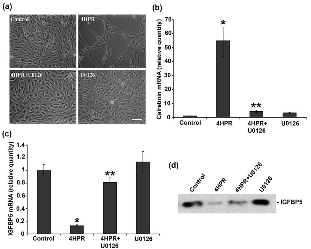 Fig.2