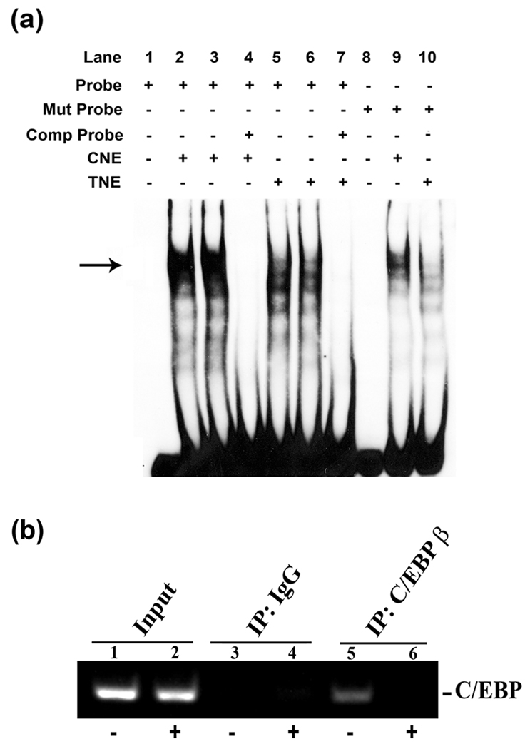 Fig.6