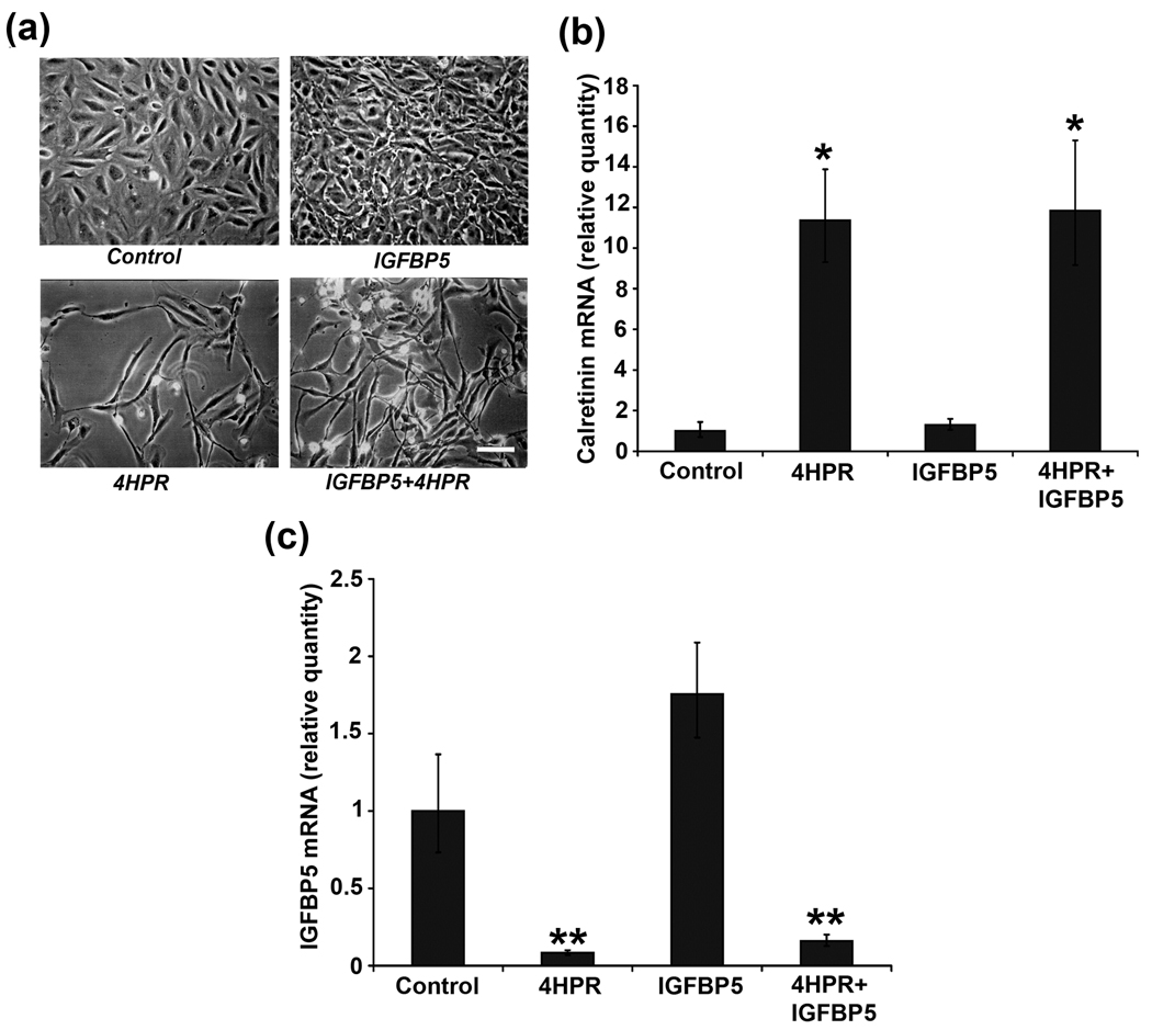 Fig.3