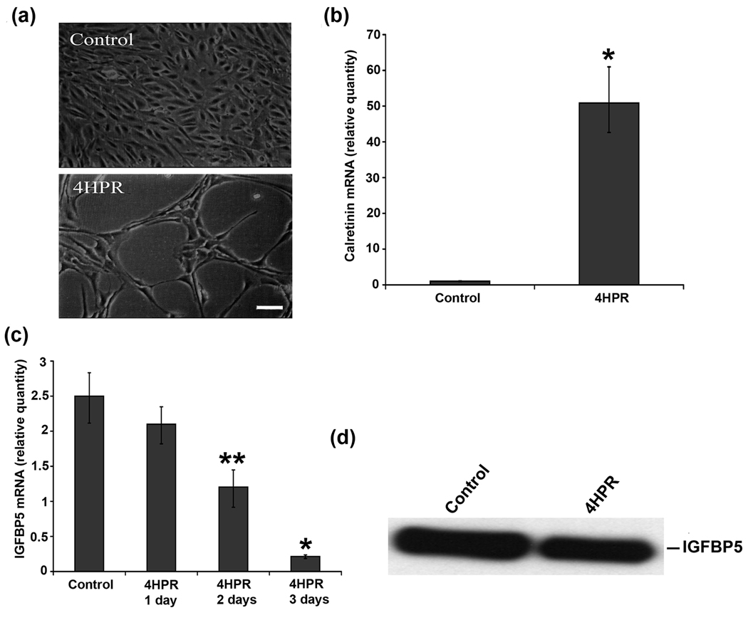 Fig.1