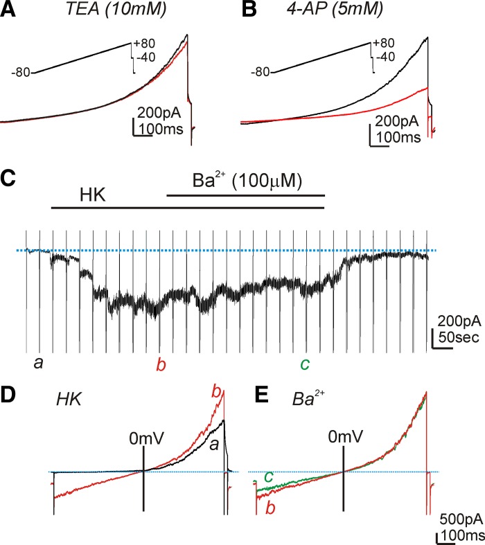 Fig. 8.