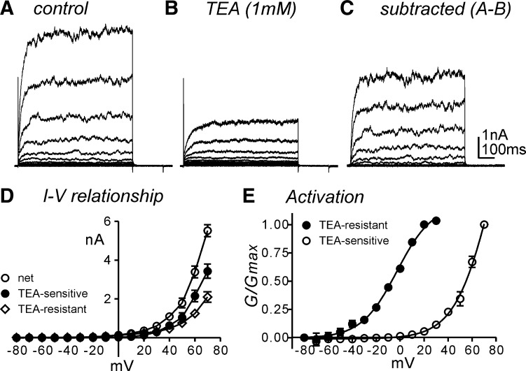 Fig. 7.